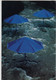 CS09. Collection Of 5 Different Christo Postcards Of Umbrella Wrap Project. - Sonstige & Ohne Zuordnung