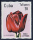 CUBA - Flore, Tulipes - Y&T N° 2346-2351 - MNH - Autres & Non Classés