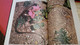 Encyclopédie 17 Volumes A LA DECOUVERTE D'UN MONDE VIVANT - Collection Nature Et Vie - Ed. Christophe Colomb - Encyclopaedia