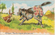 ILLUSTRATEUR PAUL ORDNER - CHASSE - LE LAPIN " TOI , TU RISQUE PLUS QUE MOI "  - (PHOTOCHROM N° 1415 - 2 SCANS) - Ordner, P.