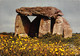 GF-LOCMARIAQUER-Quiberon-56-Morbihan-Multi-Vues-Mégalithes-Dolmen De Kercadoret- GRAND FORMAT - Locmariaquer