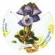 Fromage Suisse CHALET Cheese. Flora Alpina. N°4 Soldanella. - Flores