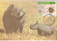 Mozambique & Maximum Card, Fauna, White Rhino And Baby, Diceros Bicornis, Pemba 1980 (78688) - Rhinoceros