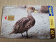 URUGUAY CHIPCARD  BIRD /VOGEL  $10  PATO MAICERO        Nice Used Card    **4508** - Uruguay