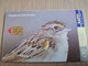 URUGUAY CHIPCARD  BIRD /VOGEL  $10  CHINGOLO DE CEJA AMARILLA        Nice Used Card    **4509** - Uruguay