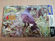 URUGUAY CHIPCARD  BIRD /VOGEL  $25  AGUILA NEGRA          Nice Used Card    **4516** - Uruguay