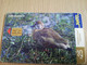 URUGUAY CHIPCARD  BIRD /VOGEL  $25  PATO BRASILERO           Nice Used Card    **4526** - Uruguay