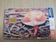 URUGUAY CHIPCARD  MUSHROOM/FUNGHUS   $10 LACCARIA SP               Nice Used Card    **4532** - Uruguay