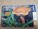 URUGUAY CHIPCARD  MUSHROOM/FUNGHUS   $25 GYMNOPILUS SPECTABILIS              Nice Used Card    **4535** - Uruguay