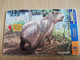 URUGUAY CHIPCARD  ANIMAL    $5  CAPINCHO          Nice Used Card    **4551** - Uruguay