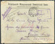 RUSSIE 20kop. S/14kop. Obl. Dc EKATERINBOURG Sur Enveloppe Recommandée Du 3-6-1917 à La Croix-Rouge - Agence Des Prisonn - Prisonniers