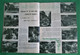 Delcampe - Angola - Revista De Angola Nº 25 De 1961 - Zeitungen & Zeitschriften