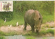 Mozambique & Maximum Card,  Fauna, Rinoceronte,  Rhinocerontidae, Ceratotherium Simum, Chitengo  1976 (3666) - Rhinoceros