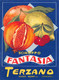 012067 "(ASTI) NIZZA MONFERRATO - DITTA TERZANO - SCIROPPO FANTASIA"   ETICH. ORIG LABEL - Fruit En Groenten