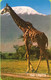 TANZANIE  -   Phonecard   -  Girafe  -  150 Unités - Tanzania