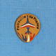 1 PIN'S // ** BADGE / PATROUILLE DE FRANCE / ALPHAJET / ARMÉE DE L'AIR ** - Avions