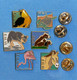 6 PIN'S // ** WWF / FONDS MONDIAL POUR LA NATURE / L'AIGLE / LA TORTUE / LE LOUP / L'OURS / LE FLAMANT ROSE / L’ÂNE ** - Animali