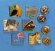 6 PIN'S // ** WWF / FONDS MONDIAL POUR LA NATURE / L'AIGLE / LA TORTUE / LE LOUP / L'OURS / LE FLAMANT ROSE / L’ÂNE ** - Animali