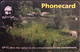 SWAZILAND  -  Phonecard  -  The Conversation Of The Environment  - E 20 - Swasiland