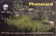 SWAZILAND  -  Phonecard  -  The Conversation Of The Environment  - E 20 - Swaziland