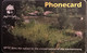 SWAZILAND  -  Phonecard  -  The Conversation Of The Environment  - E 20 - Swaziland