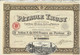 Action Ancienne - Pétrole Trust - Société Anonyme - Titre De 1924 - N° 192.868 - Erdöl