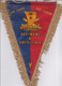 Fanion - 34° Régiment D'Artillerie - Müllheim FFA - Drapeaux