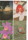 Costa Rica 10 Postalcards Postage Paid 150 Colones Butterfly Hummingbird Sloath Orquid Church Crab Beach River Mint #317 - Costa Rica