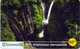 TORC : REU02 50FF TORC Waterfall (thin Card) DUMMY/SPECIMEN - Reunión