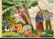 61927 Portugal,stationery  Card $50 Acores S.miguel,flora Micaelense,pineapple, Pumpkins, Bananas,coconuts - Frutta