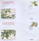 China Volksrepubliek FDC 1995-6 PJF-4 4 Covers (463) - Andere & Zonder Classificatie