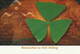 IRELAND 2001 St Patrick's Day: Set Of 4 Pre-Paid Postcards MINT/UNUSED - Interi Postali