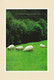 IRELAND 2003 St Patrick's Day: Set Of 3 Pre-Paid Postcards MINT/UNUSED - Ganzsachen