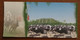 Ostrich Farm,horse Racing,China 2010 National 3A Level Scenic Spot Jinlu Ostrich Amusement Park Pre-stamped Card - Straussen- Und Laufvögel