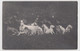 0913 Pedigree Dogs In Soviet Russia 1920s Original Photo Postcard - Chiens