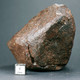 Meteorite NWA (North West Africa) - 314 Gr - Meteoriten