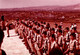 Photo Couleur Originale Militaires Au Garde à Vous Sur Un Terrain D'Intervention Vers 1970 - Bérets Verts, Légion ? - Guerra, Militari