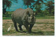 Postcard Rp Rhinoceros With Egret Birds Posted Kenya 1977 - Rhinoceros