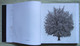 Delcampe - Book/livre/buch/libro CUBE/IQOS: Photography Art Communication Architecture And Trees - Sciences