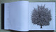 Delcampe - Book/livre/buch/libro CUBE/IQOS: Photography Art Communication Architecture And Trees - Scienze