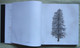 Delcampe - Book/livre/buch/libro CUBE/IQOS: Photography Art Communication Architecture And Trees - Wissenschaften