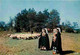 Folklore - Costumes - Limousin - Moutons - CPM - Voir Scans Recto-Verso - Costumes