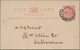 Delcampe - Tasmanien - Ganzsachen: 1900/1912 Ca., Collection With Ca.20 Mostly Used Postal Stationery Cards And - Briefe U. Dokumente