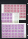 PAPIER POLYVALENT Serie Nr. 62 Voorafgestempeld Nrs. 806P T/e/m 812P In Veldelen Van 35 ** MNH  ; Zie 4 Scans ! LOT 362 - Typos 1967-85 (Lion Et Banderole)