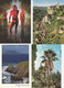 Delcampe - LOTTO 134 Cartoline - 100 - 499 Postcards