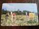 BONAIRE Naf 5,00 20units  DONKEYS ON BONAIRE       **4663** - Antilles (Neérlandaises)