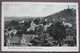 Bad Freienwalde (Märkisch-Oderland) - Panorama Mit Aussichtsturm - Bad Freienwalde