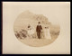 Conjunto De 2 Fotografias Antigas MADEIRA. SET Of 2 Old Photos PORTUGAL 8.1cm X 10.7cm  / Cada - Anciennes (Av. 1900)