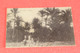 Libia Libya Cirenaica Cyrenaica Derna Palmizi 1912 Cartolina Militare IV Divisione Italiana - Libya