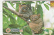 Philippines - Philippine Tarsiers (2001-02-28) - Filippine